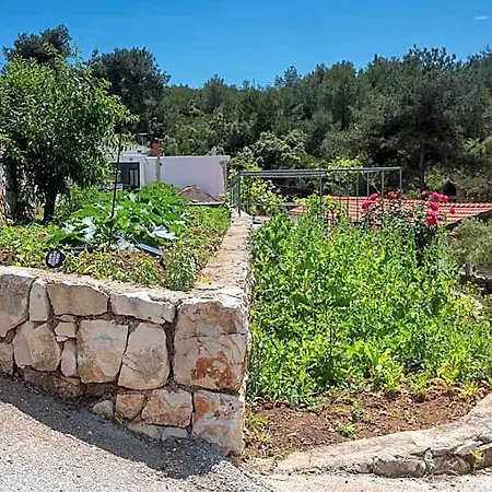 Golden Bay Hvar מלון דירות